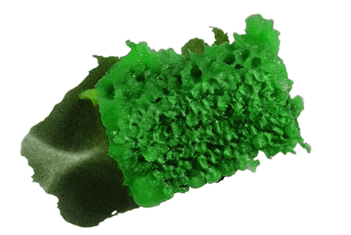 Rare green honeycomb from Borneo